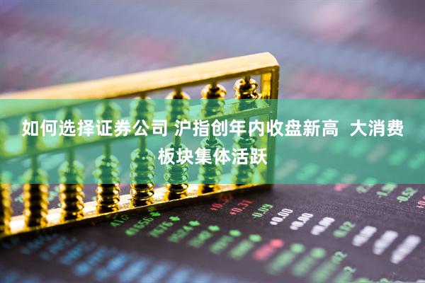 如何选择证券公司 沪指创年内收盘新高  大消费板块集体活跃
