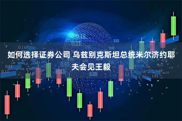 如何选择证券公司 乌兹别克斯坦总统米尔济约耶夫会见王毅