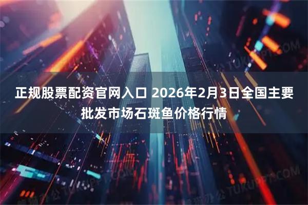 正规股票配资官网入口 2026年2月3日全国主要批发市场石斑鱼价格行情